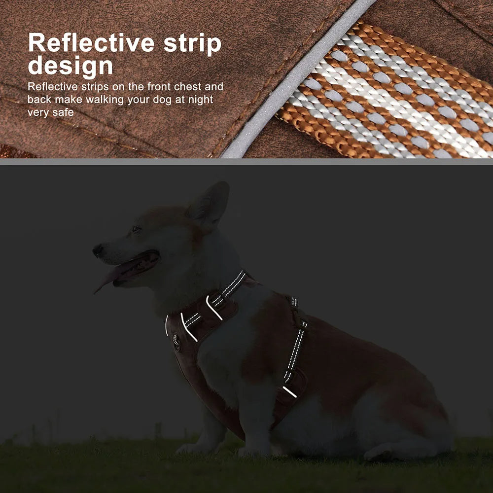 Durable & Supportive Dog Harness with Reflective Straps & Close-Control Handle 9