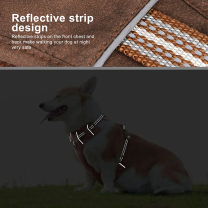 Durable & Supportive Dog Harness with Reflective Straps & Close-Control Handle 9
