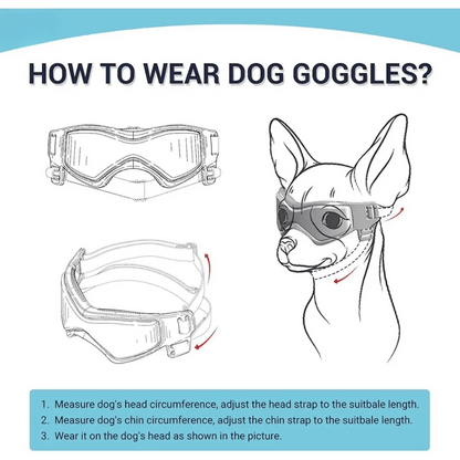 Small Breed Dog Goggles | Protective Dog Sunglasses for Wind & Sun