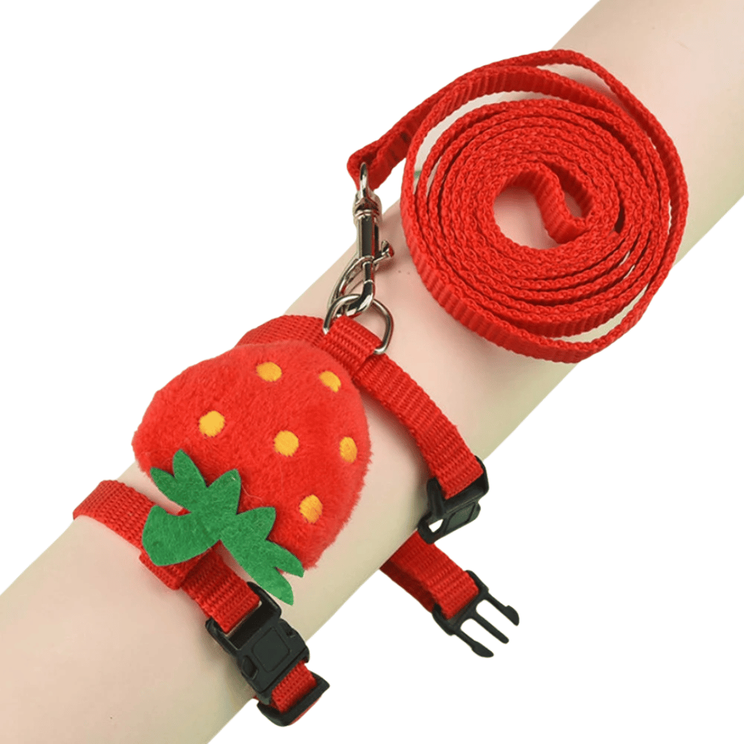 Adjustable Rabbit Harness & Lead Set 12