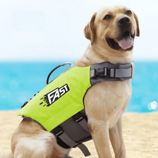 Dog Life Jacket Safety Vest for Swimming | Adjustable & Reflective Dog Swim Vest 1