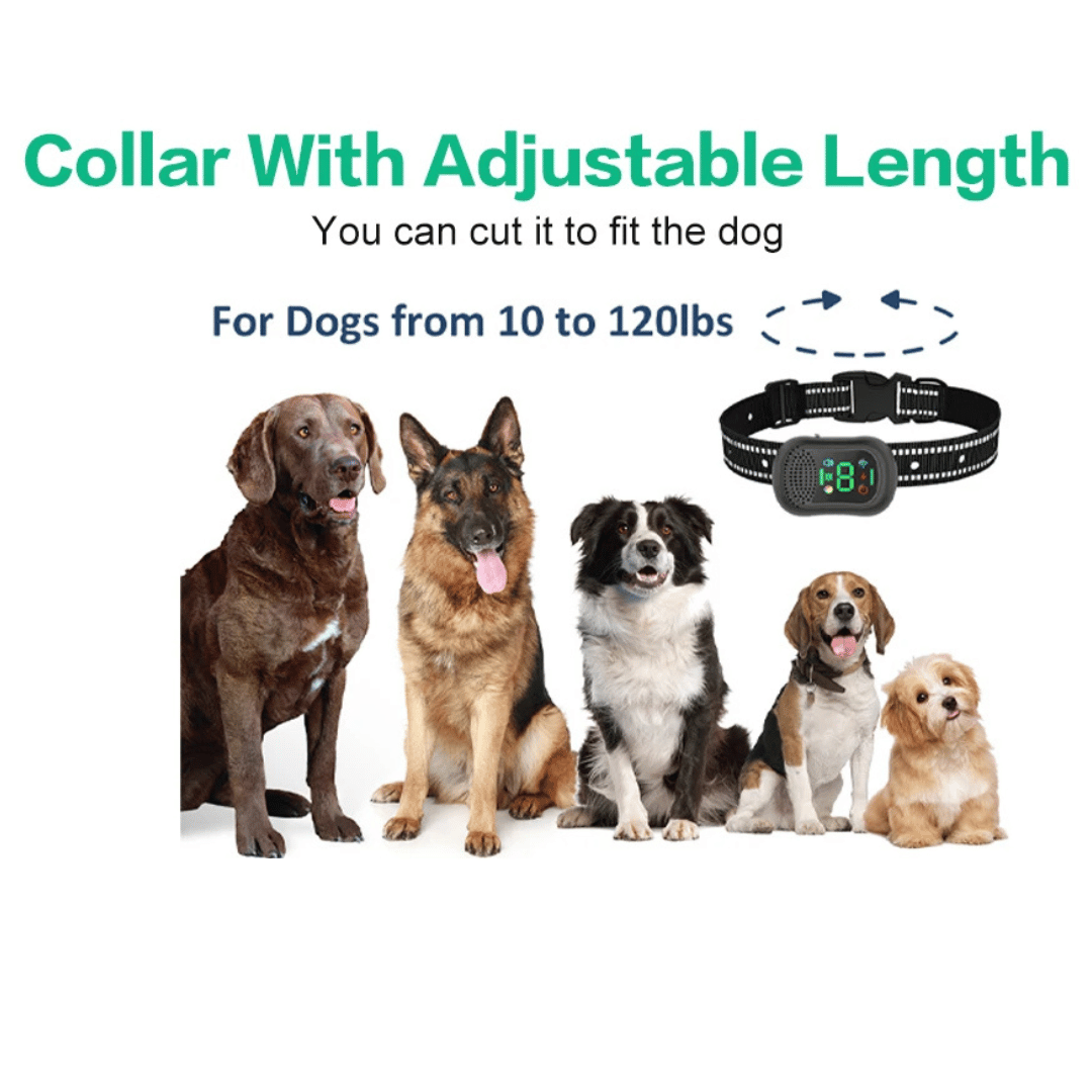 Long Distance Dog Control Collar & Remote with Voice Call, Safe Shock, Vibration & Beep Training