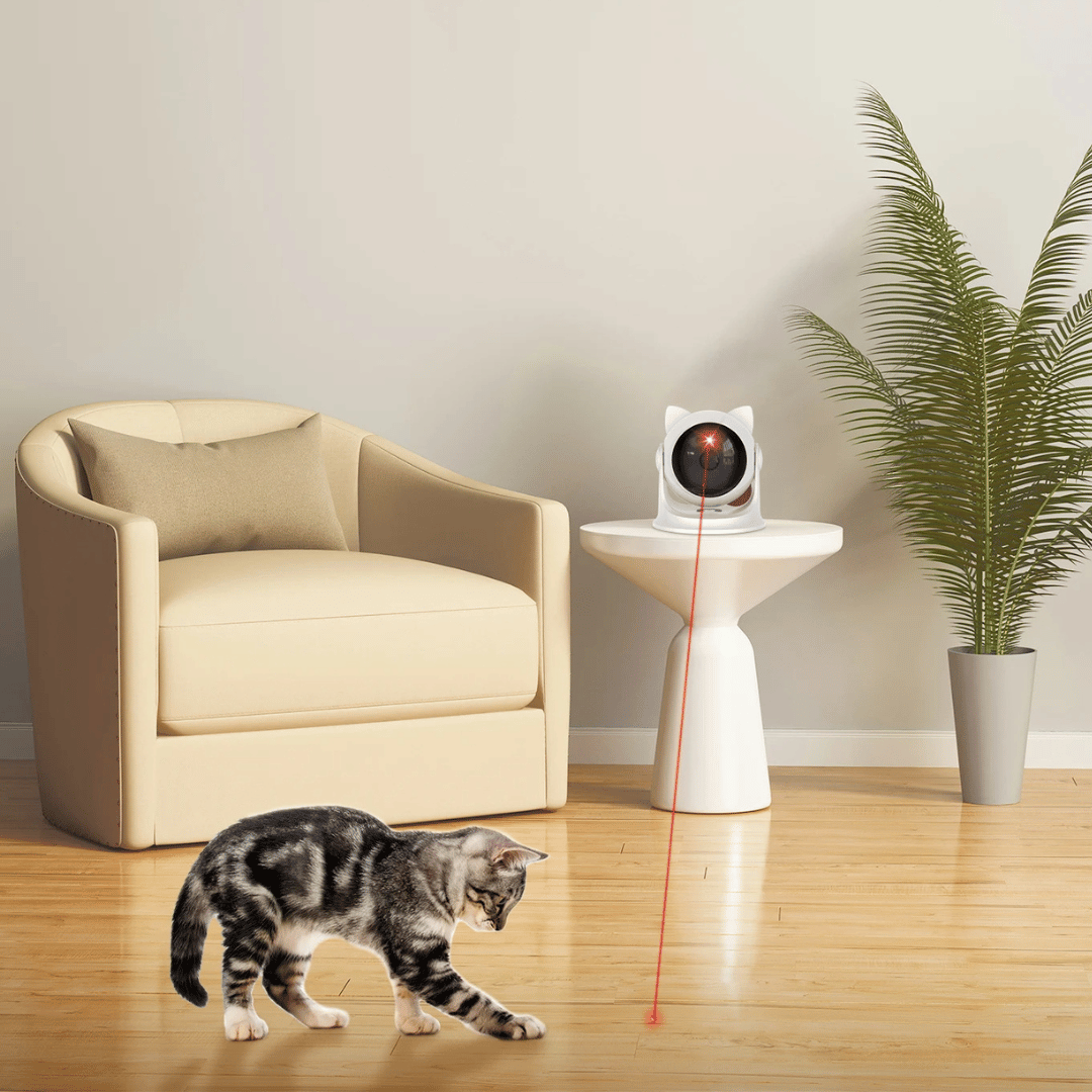 Automatic Laser Cat Toy | USB Rechargeable 3