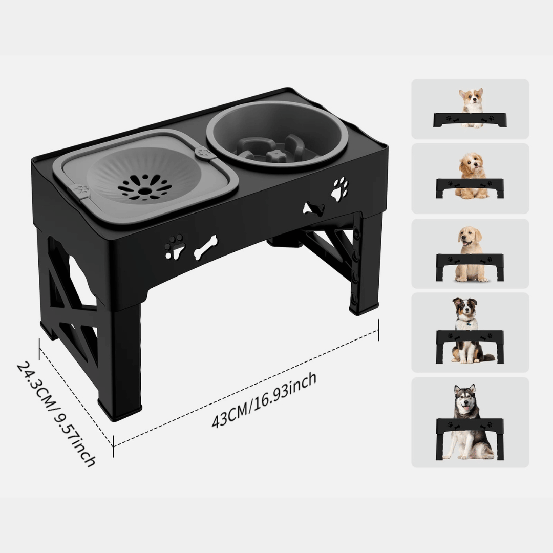 Slow Feeder Bowls Elevated Dog Feeding Station | Stable & Adjustable 6