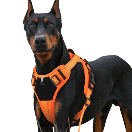 Supportive Dog Harness Training Vest with Reflective Straps 1