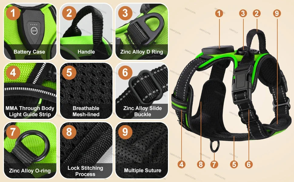 Bright LED Dog Harness for Safe Walking At Night | USB Rechargeable 9