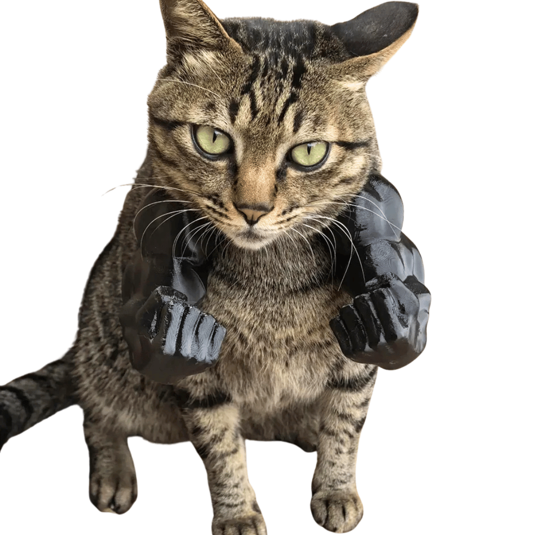 Flexing Feline Cat Muscle Arms | Bodybuilder Arms Funny Cat Costume