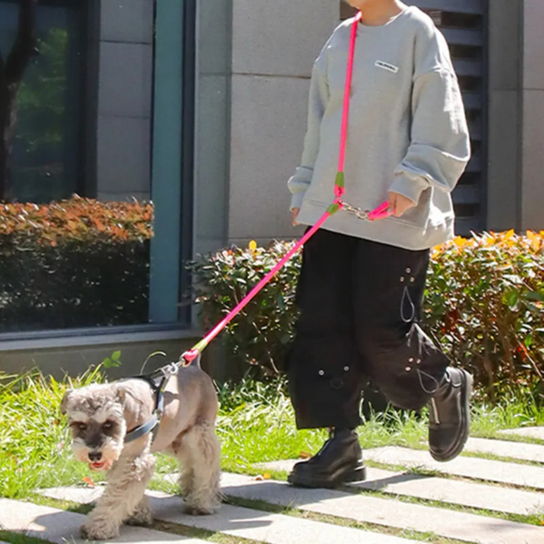 Hands-Free Dog Leash with Thick & Reflective Rope for Larger Breeds | Dog Leash for Running & Walking 12