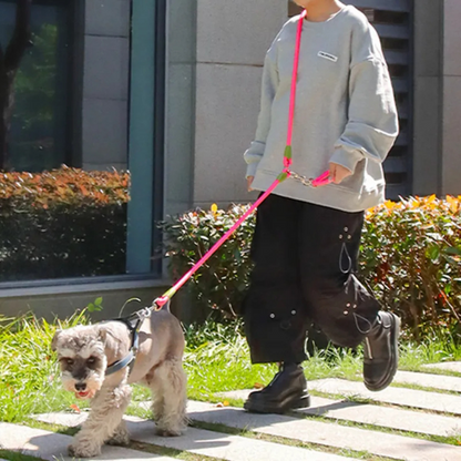 Hands-Free Dog Leash with Thick & Reflective Rope for Larger Breeds | Dog Leash for Running & Walking 12