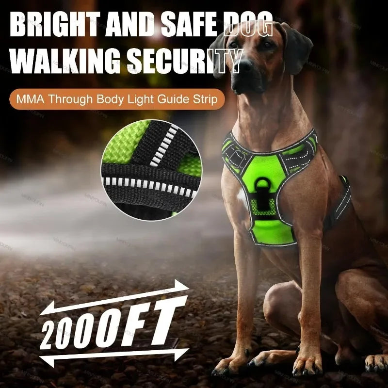 Bright LED Dog Harness for Safe Walking At Night | USB Rechargeable 5