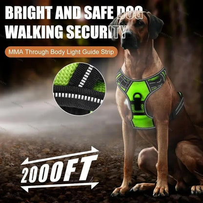 Bright LED Dog Harness for Safe Walking At Night | USB Rechargeable 5