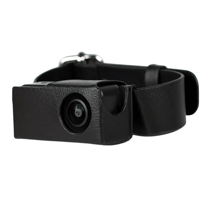 Pet Collar Camera with 160° Wide-Angle Lens | Full HD 1080P Video for Dogs & Cats 2