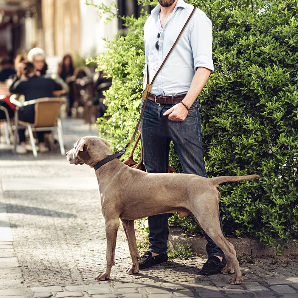 Hands-Free Dog Leash with Comfortable & Adjustable Rope | Durable Dog Leash for Running & Walking 2