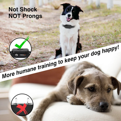 No Shock Dog Training Collar for Humane Correction with Remote Control | No Prongs Vibration & Sound