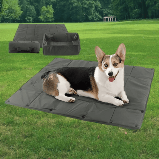 2-In-1 Portable Dog Mat & Travel Basket for Outdoors 1