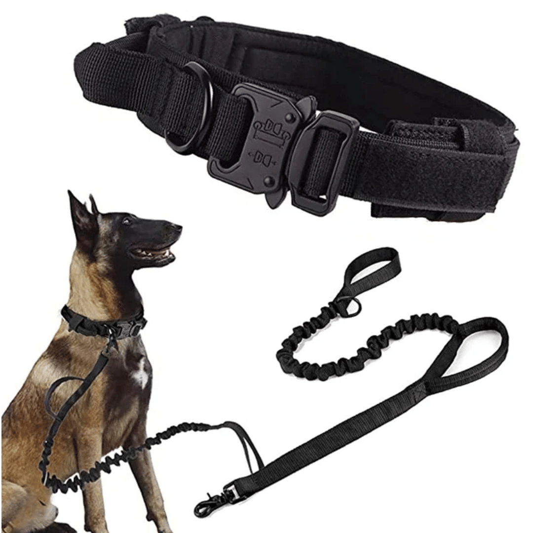 Heavy Duty Military-Style Tactical Dog Collar & Leash for Large & XL Dogs 4