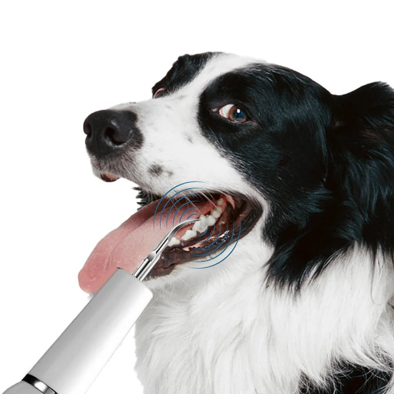 Dog Oral Hygiene Dental Tool Kit | Tartar Control & Teeth Cleaning Set