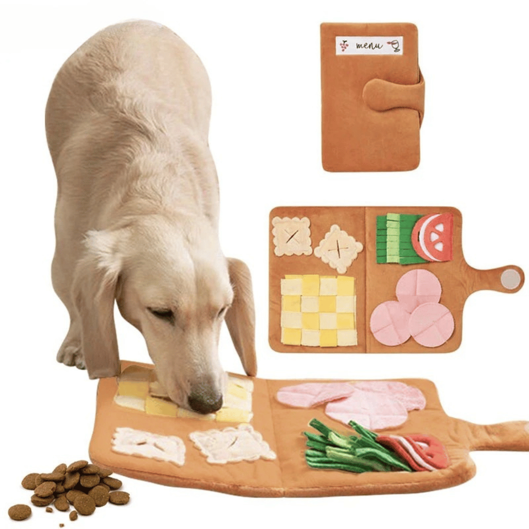 Deli-Hound Dog Snuffle Mat for Slow Feeding & Treat Dispensing