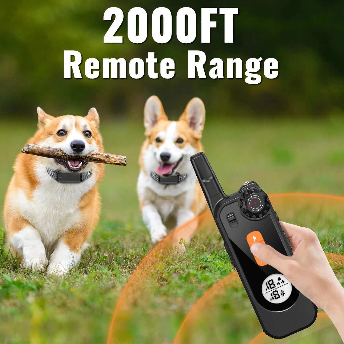 Dog Training eCollar with Remote & Flashlight for Sound, Vibration & Shock Control up to 600m | Waterproof & Night-Safe