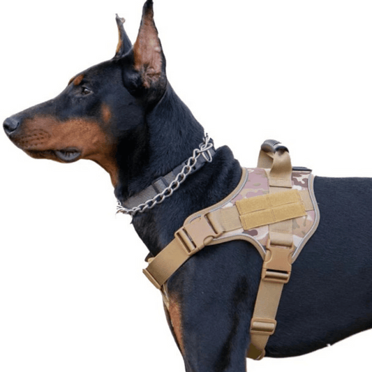 Military-Style Tactical Dog Training Vest with Sturdy Harness Handle 1