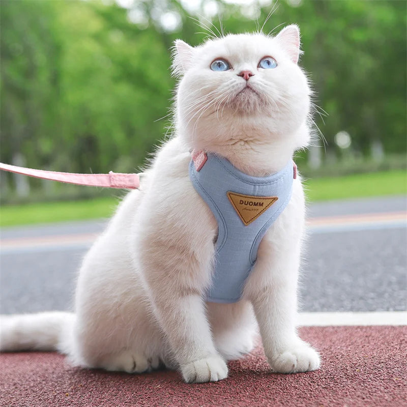 Comfort Kitty Cat Harness & Leash Set 3