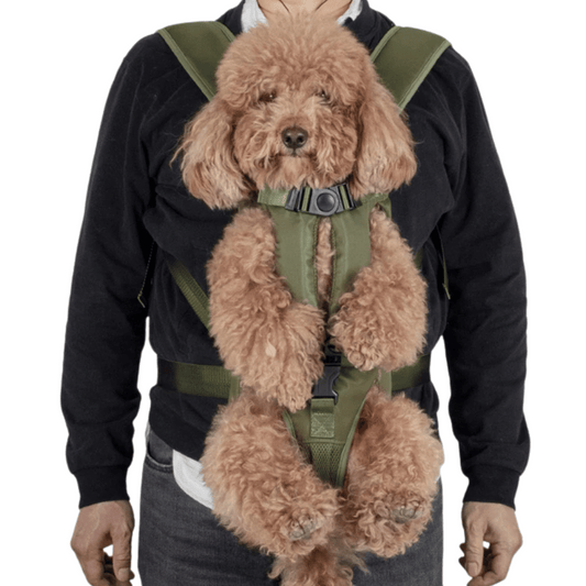 Secure & Comfy Dog Carrier Backpack | Breathable & Fully Adjustable Pet Backpack 1