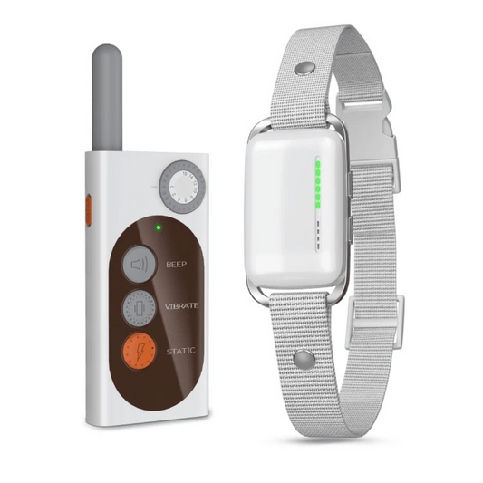 Easy-Carry Remote Control Electric Dog Training Collar 1