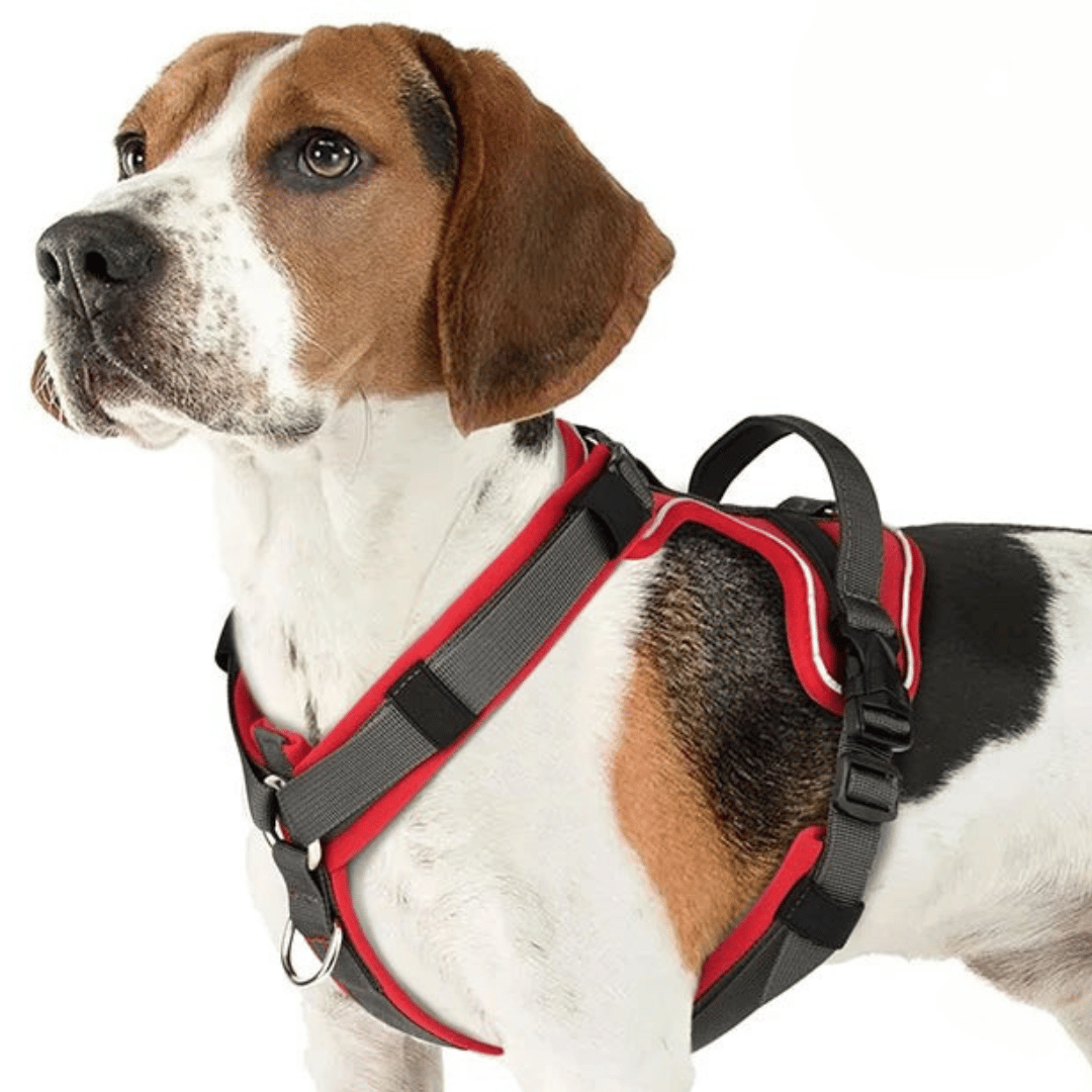 Reflective Dog Harness with Strong Handle for Safety & Comfort 11
