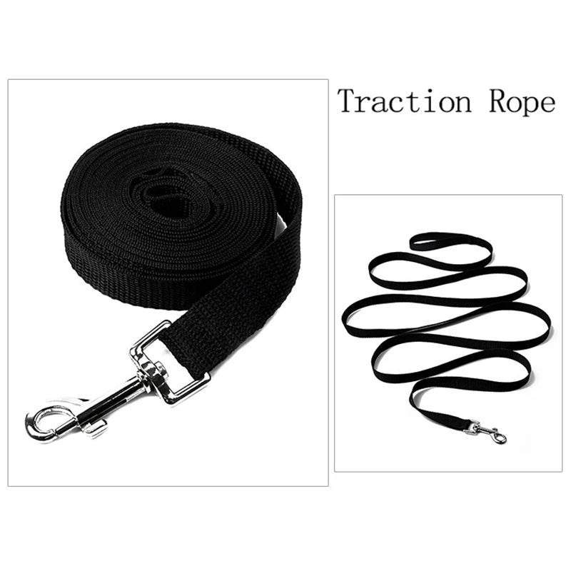 Lightweight Extra-Long Nylon Dog Lead 6