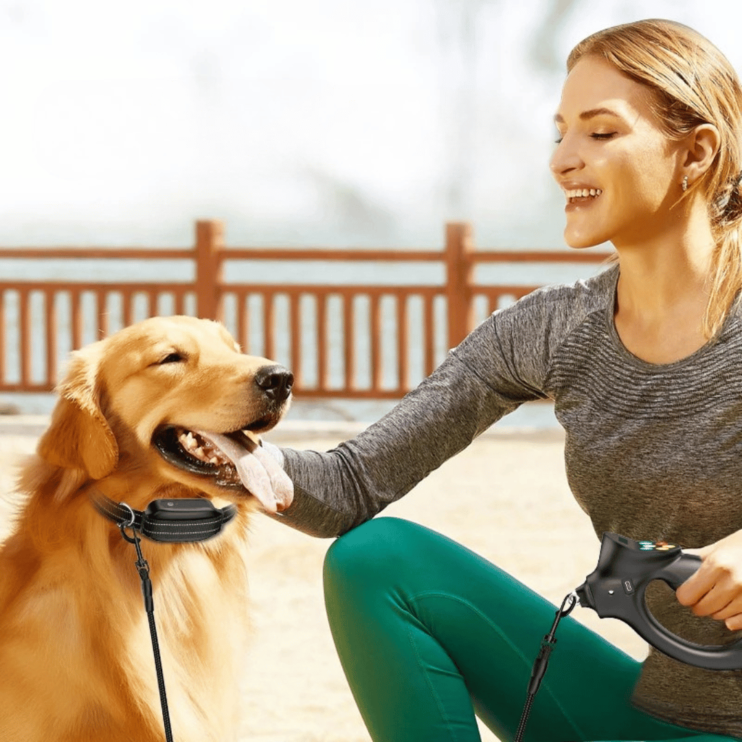 500m Easy-Grip Remote Control Dog Training Collar 2