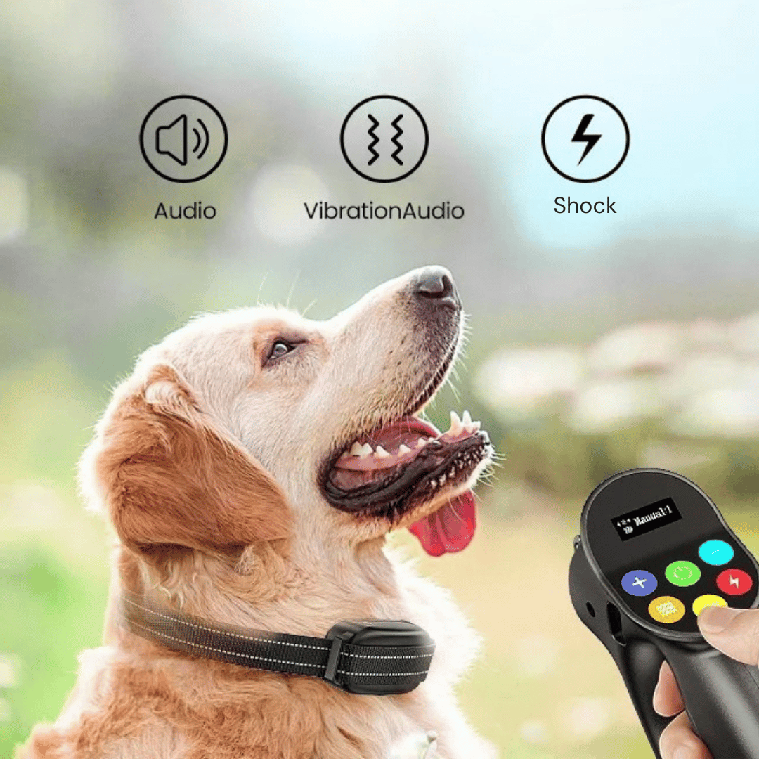 500m Easy-Grip Remote Control Dog Training Collar 3