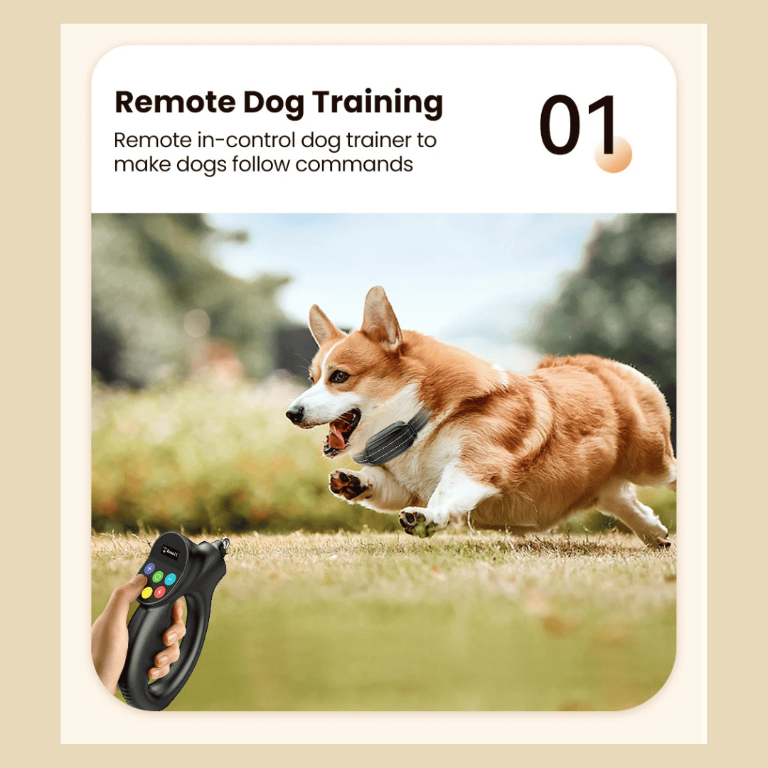 500m Easy-Grip Remote Control Dog Training Collar 7