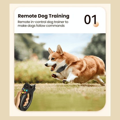 500m Easy-Grip Remote Control Dog Training Collar 7