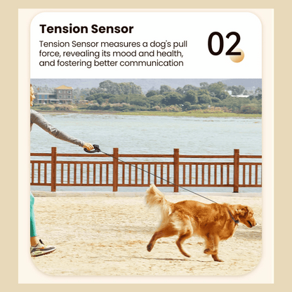500m Easy-Grip Remote Control Dog Training Collar 8