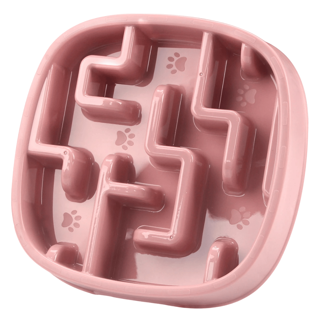 Maze-Design Slow Feeder Pet Bowl for Healthy Eating
