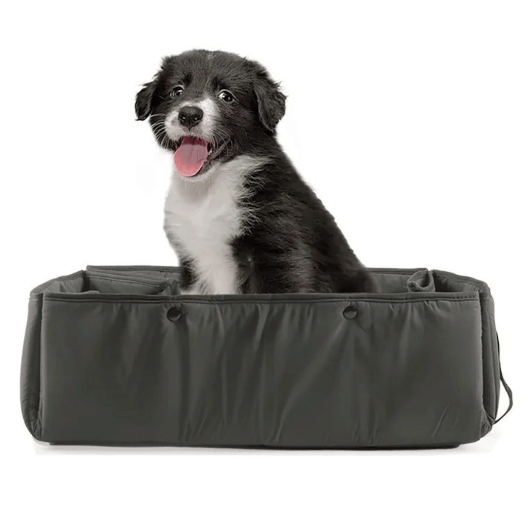 2-In-1 Portable Dog Mat & Travel Basket for Outdoors 3