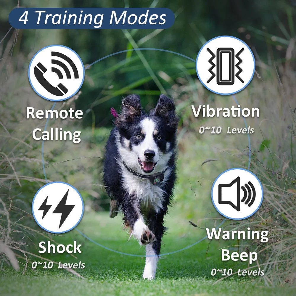 Long Distance Remote Control Dog Training Collar with Voice Call, Safe Shock, Vibration & Beep Warnings