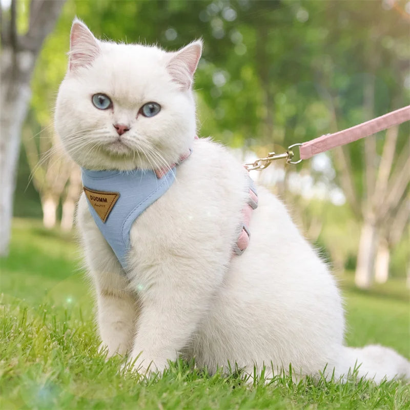Comfort Kitty Cat Harness & Leash Set 4
