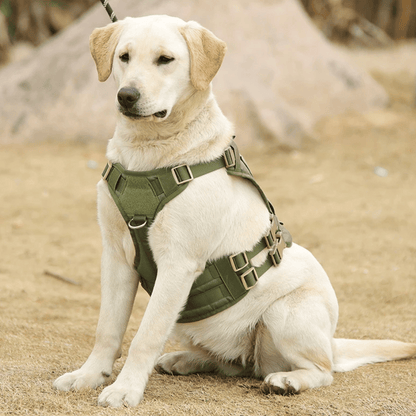Robust Military-Style Dog Harness with Rubber Handle & Pouch | Tactical Dog Training Vest 19