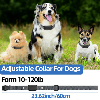 Dog Training eCollar with Remote & Flashlight for Sound, Vibration & Shock Control up to 600m | Waterproof & Night-Safe