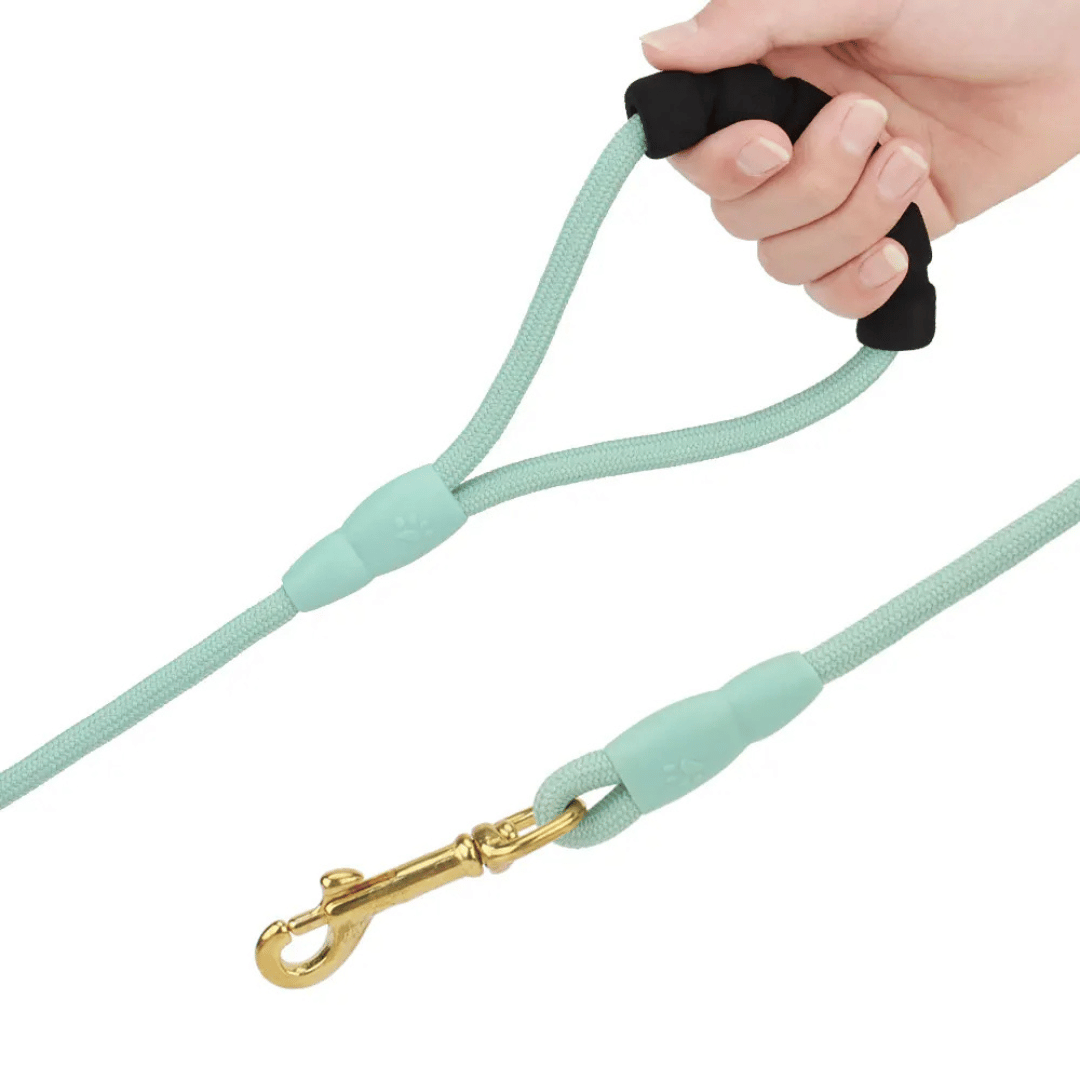 Long Dog Lead with Foam Handle | Long Line Dog Leash for Puppy Training & Cats 2