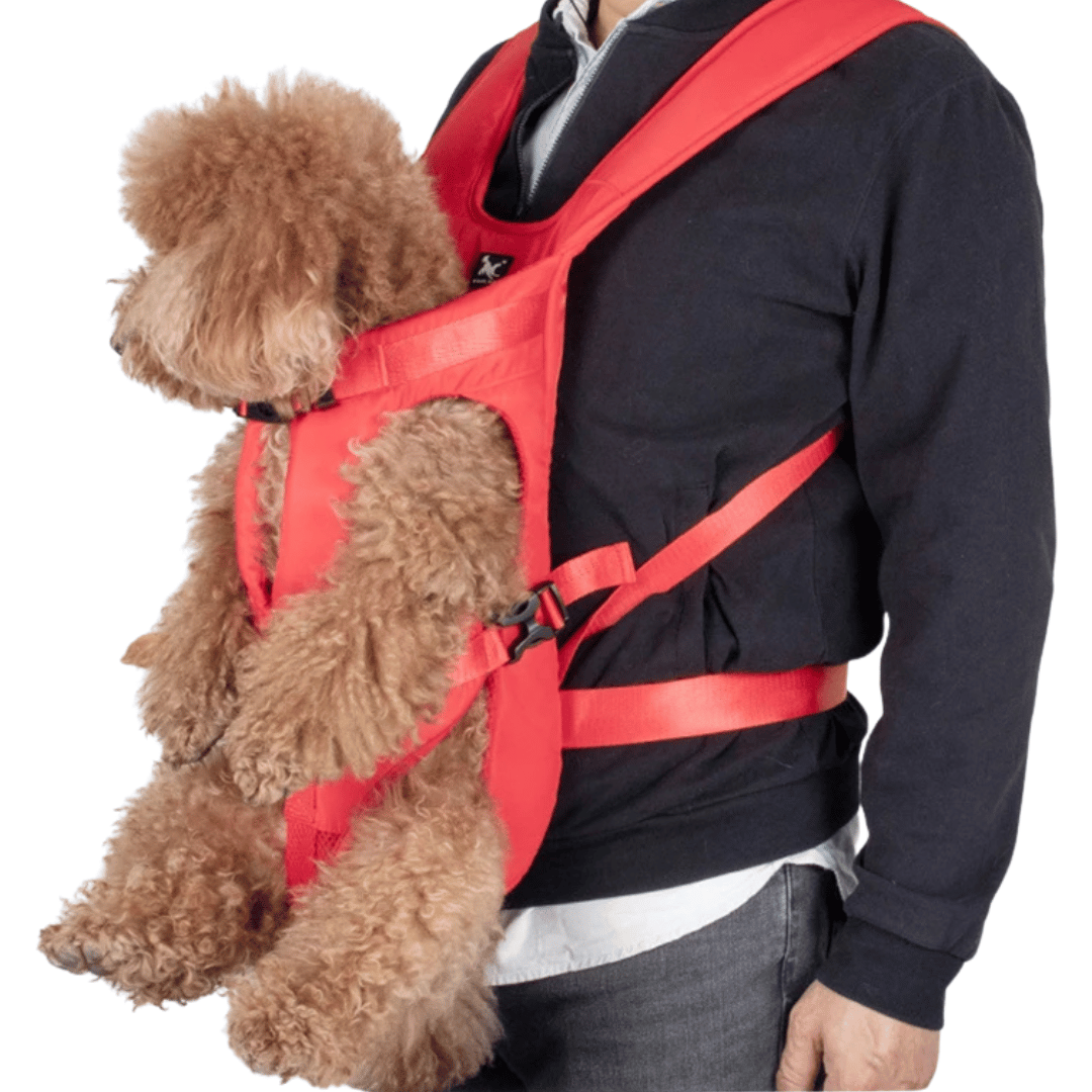 Secure & Comfy Dog Carrier Backpack | Breathable & Fully Adjustable Pet Backpack 11