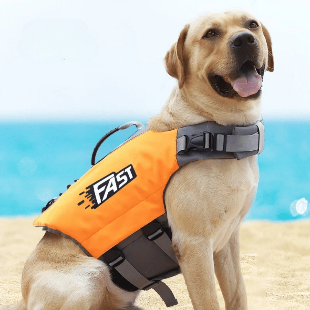 Dog Life Jacket Safety Vest for Swimming | Adjustable & Reflective Dog Swim Vest 3