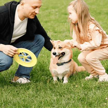 Long Distance Dog Control Collar & Remote with Voice Call, Safe Shock, Vibration & Beep Training