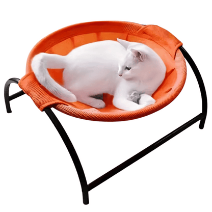 Free-Standing Cat Bed Hammock with Study Frame