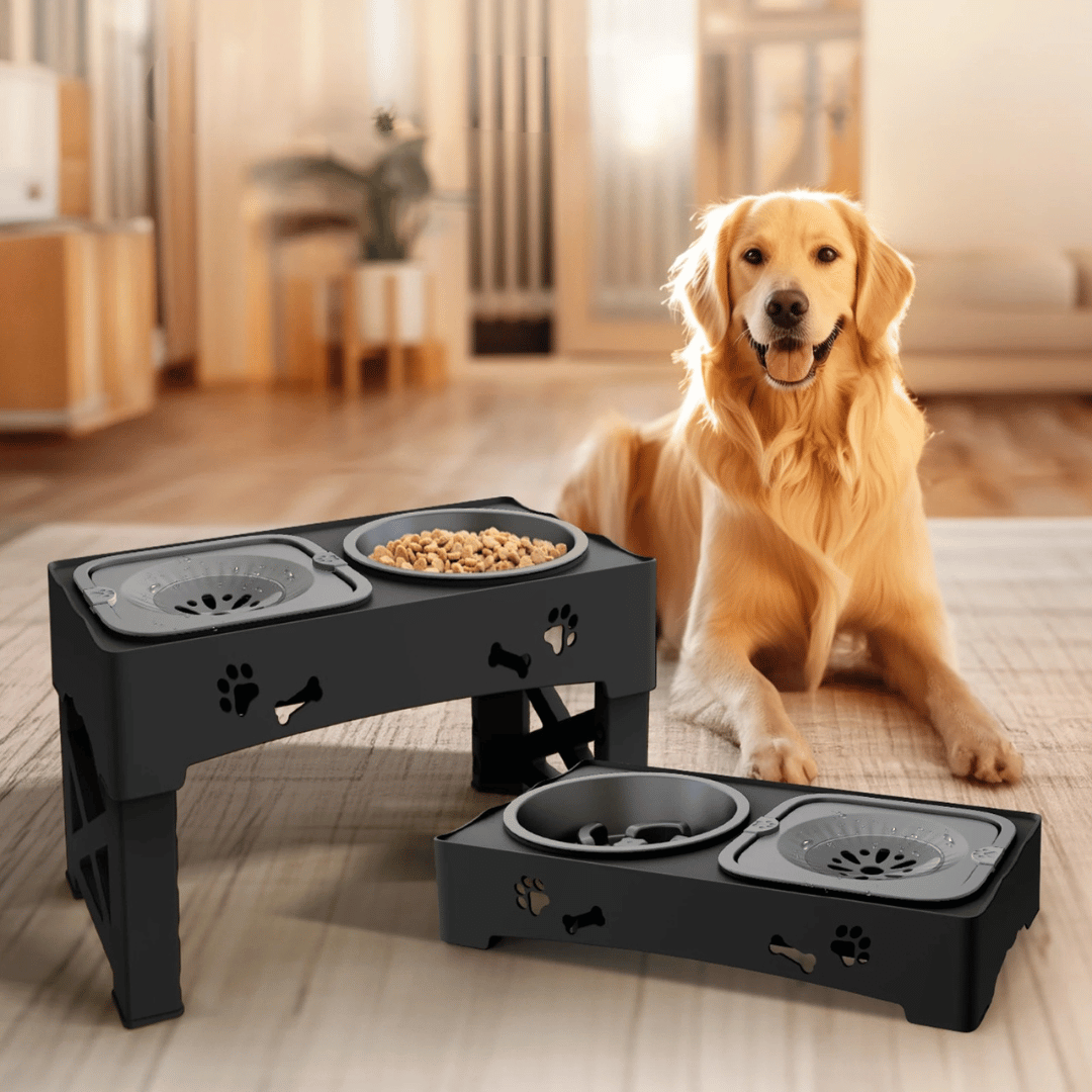 Slow Feeder Bowls Elevated Dog Feeding Station | Stable & Adjustable 2