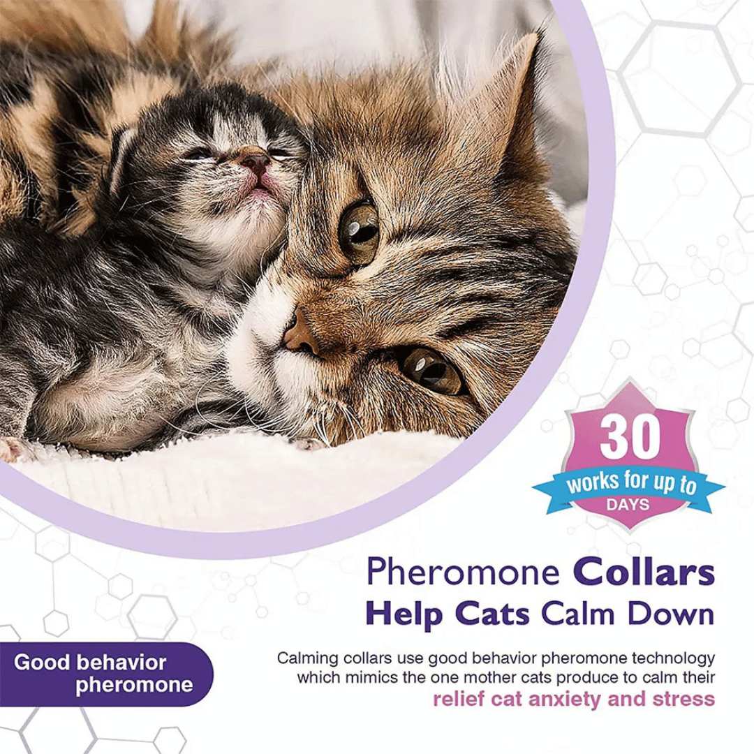 Cat Calming Collar with Safe Pheromones for Anxiety Relief & Soothing 3
