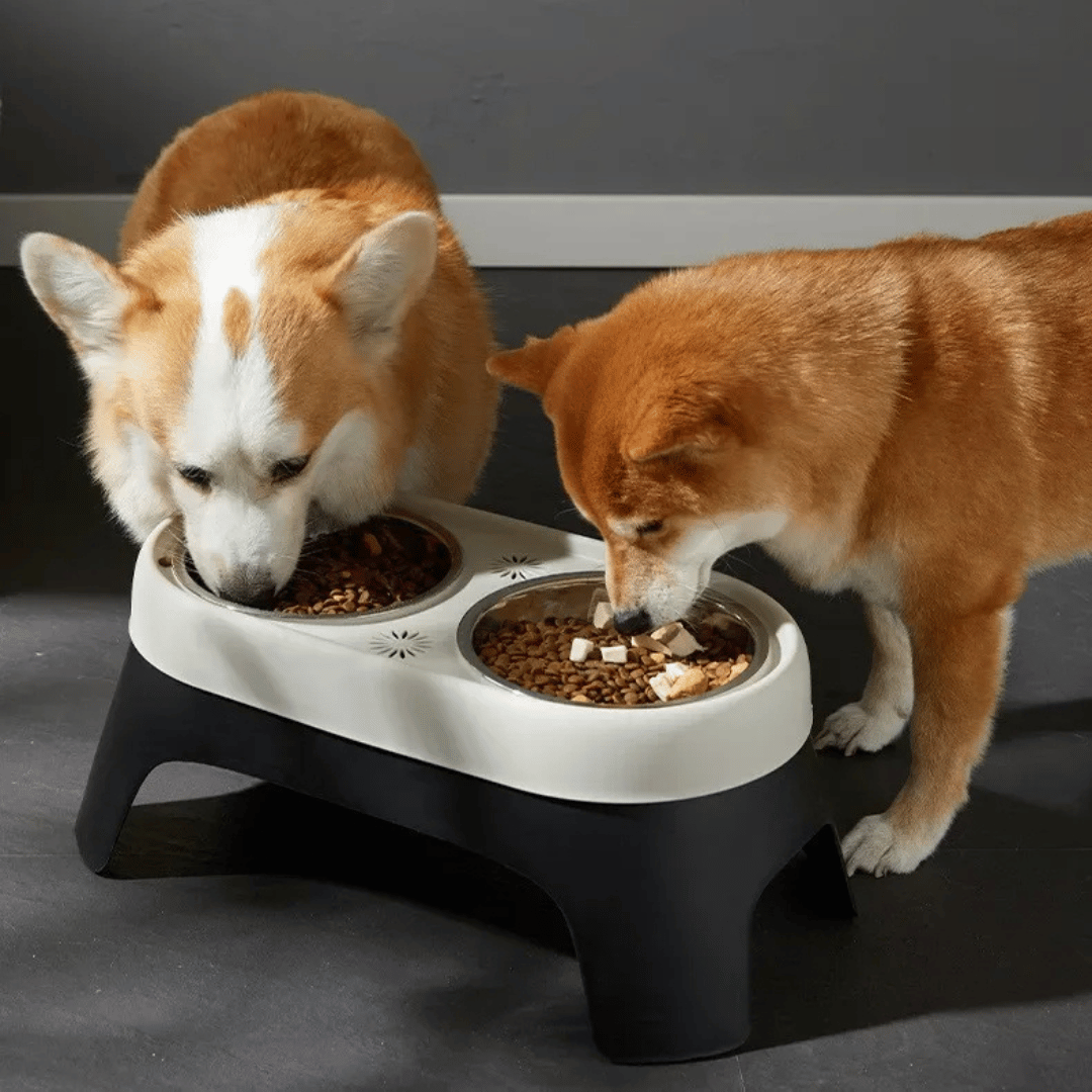 Sturdy Raised Dog Feeding Station with Stainless Steel Dog Bowls 2