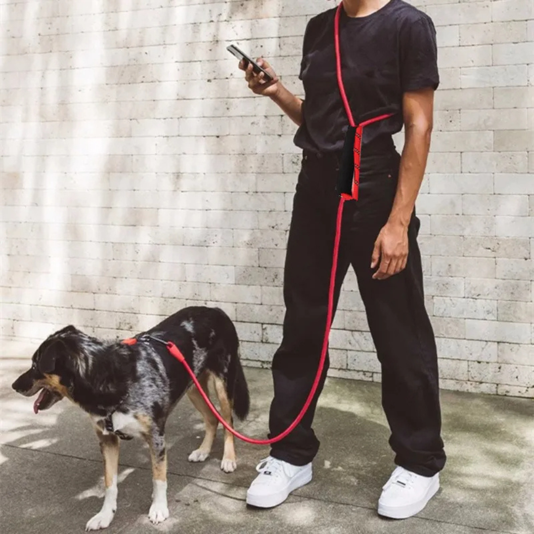 Hands-Free Dog Leash with Thick & Reflective Rope for Larger Breeds | Dog Leash for Running & Walking 2