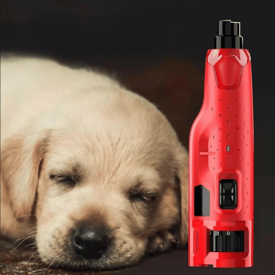 Low-Noise Dog Nail Grinder with LED Light & 6-Speed Control for Safe Claw Trimming 3